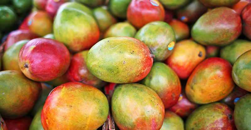 Blog Fruits Mango